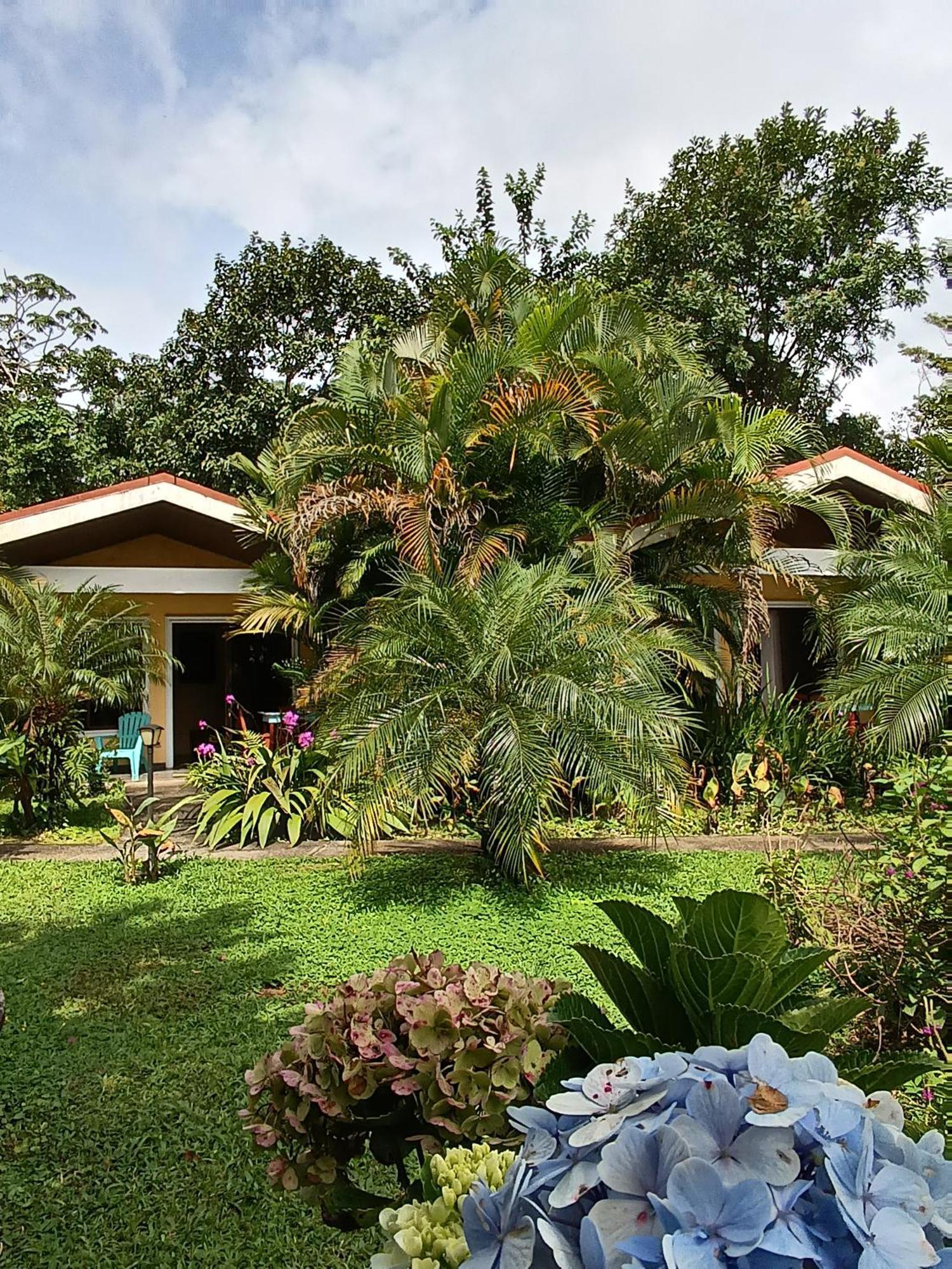 Lakegardens Arenal Condos Nuevo Arenal Luaran gambar