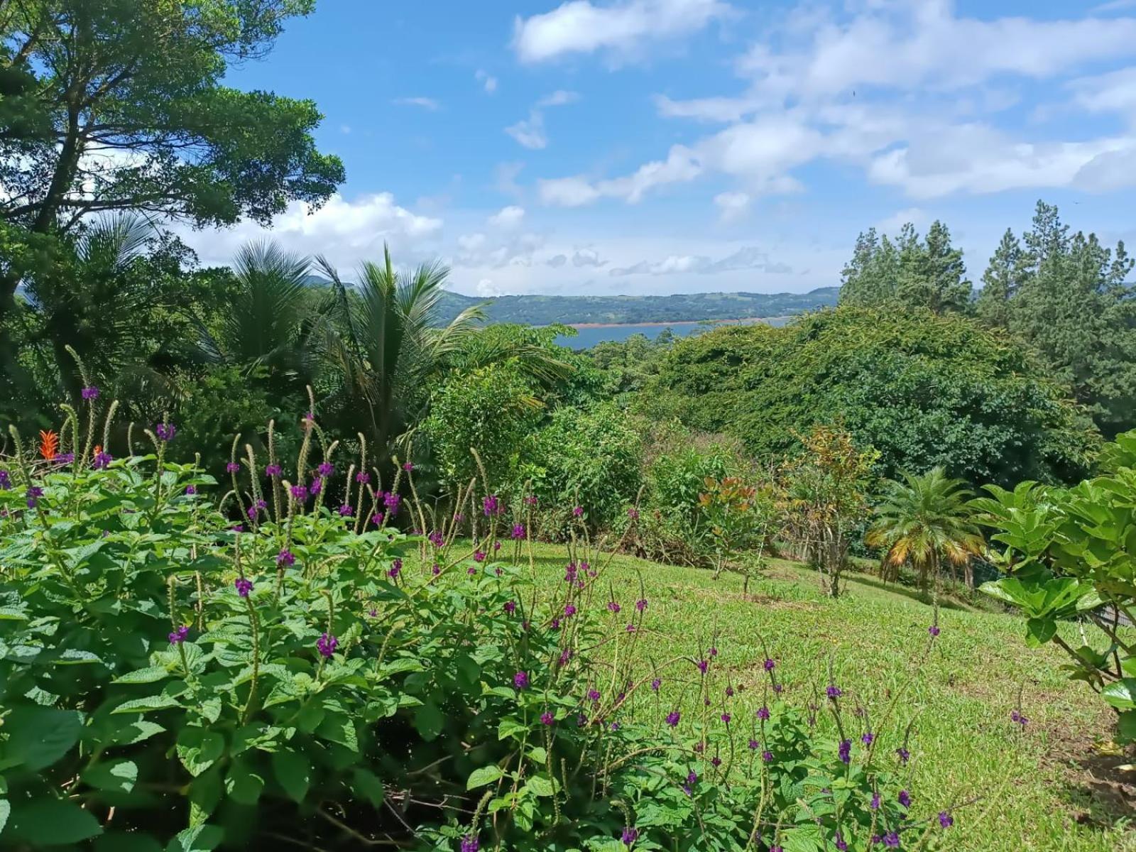 Lakegardens Arenal Condos Nuevo Arenal Luaran gambar