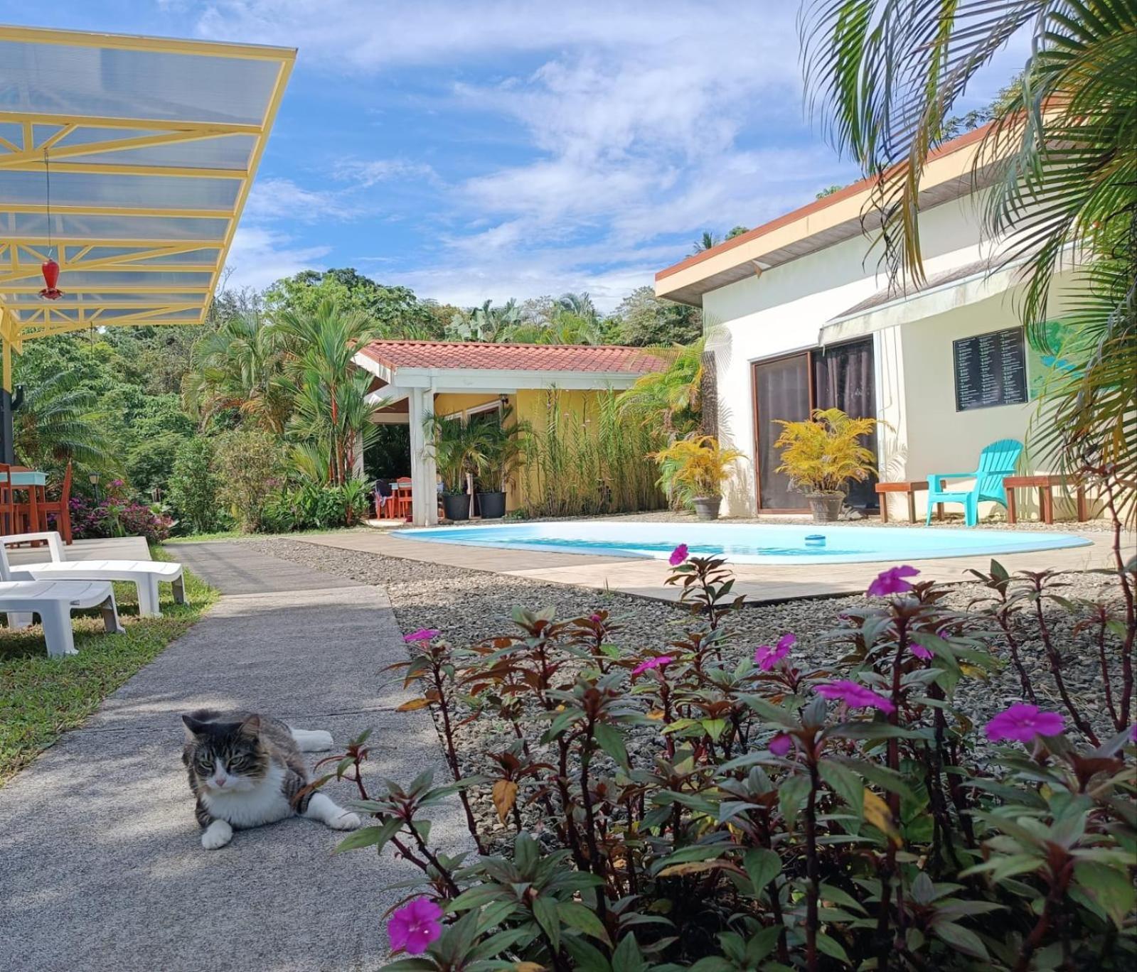 Lakegardens Arenal Condos Nuevo Arenal Luaran gambar