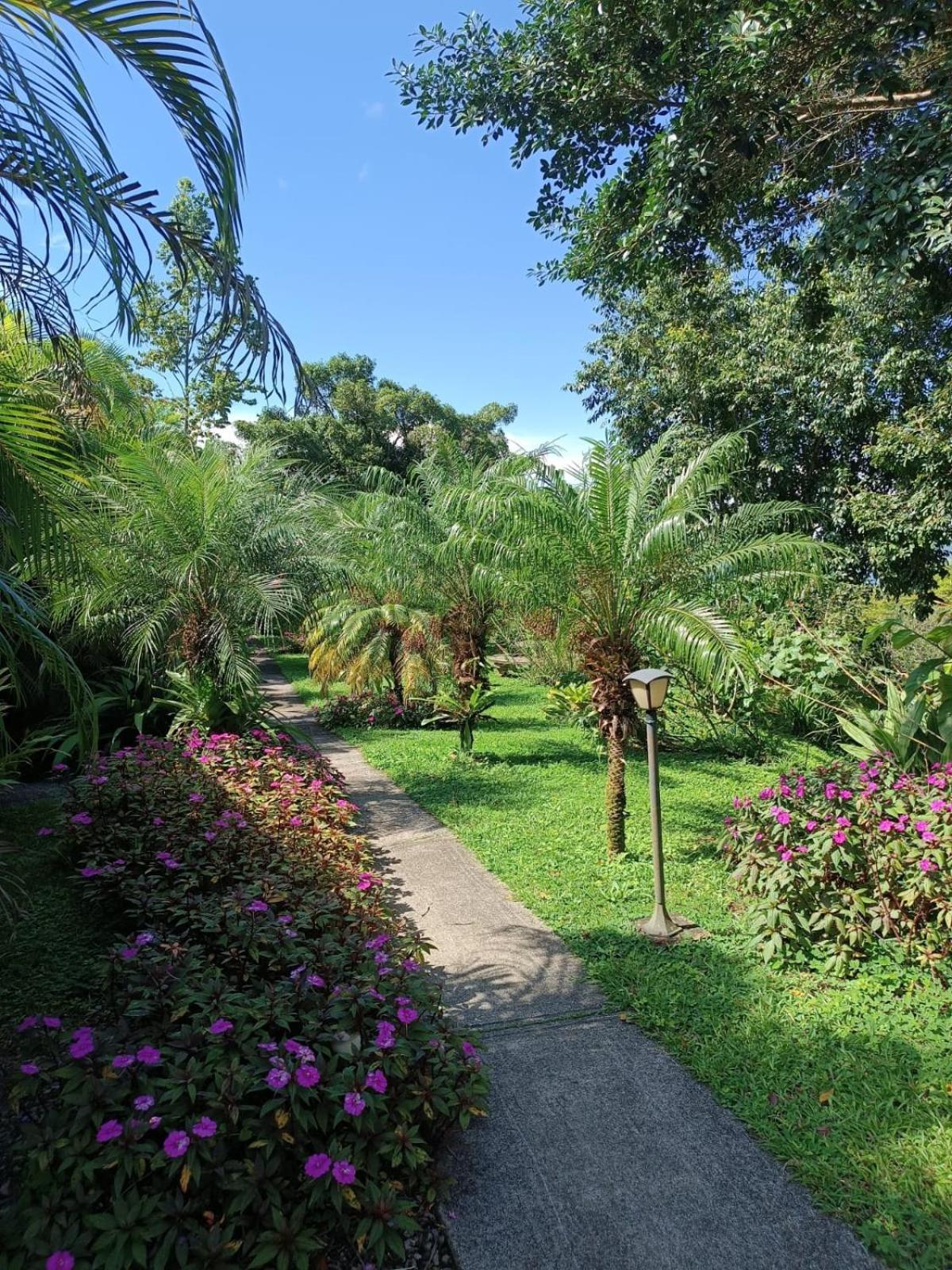 Lakegardens Arenal Condos Nuevo Arenal Luaran gambar