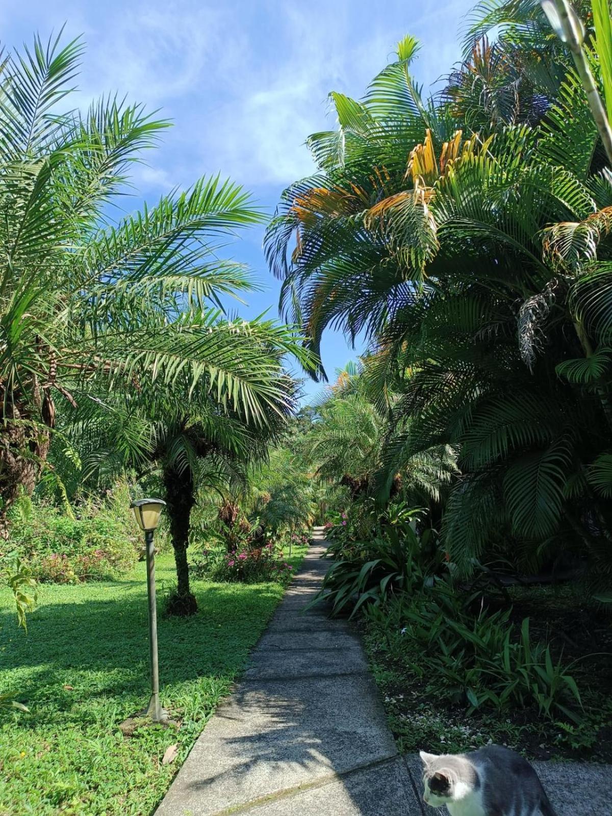 Lakegardens Arenal Condos Nuevo Arenal Luaran gambar